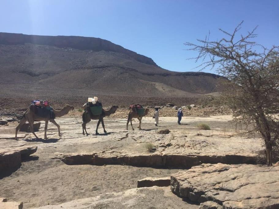 Hotel Familiale Les Grotte Ait Benhaddou Exteriér fotografie